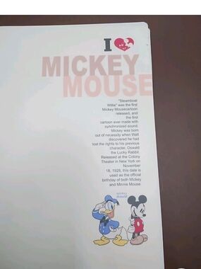 Mickey Mouse Hard Plastic Folder